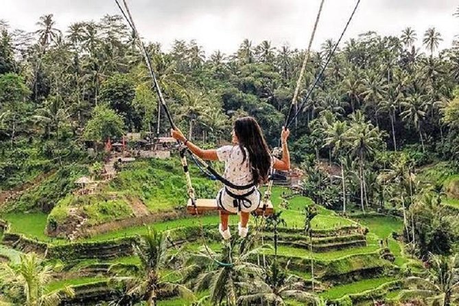 Best of Ubud Tour with Jungle Swing Private and All Inclusive - Tegenungan Waterfall: Nature Views With a Real Time Window