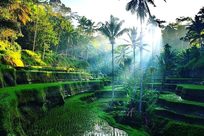 Best of Ubud - Ubud Tour Popular - All Inclusive - Price and Logistics: When $52 Actually Feels Like a Win