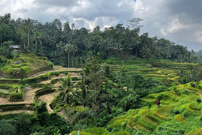 Best of Ubud - Ubud Tour Popular - All Inclusive - The 10-Hour Game Plan, Stop by Stop