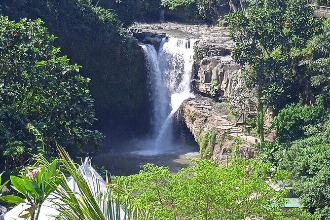 Best of Ubud - Ubud Tour Popular - All Inclusive - Should You Book This Best of Ubud Tour?