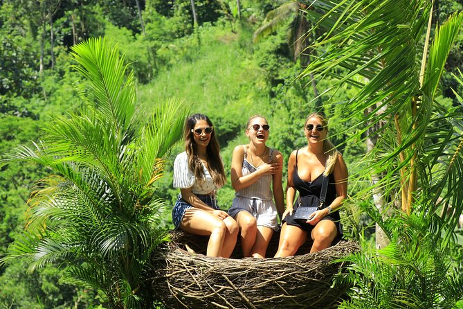 Best of Ubud Village Private Tour with Jungle Swing All Inclusive - The private-tour difference: drivers who handle timing and photo spots