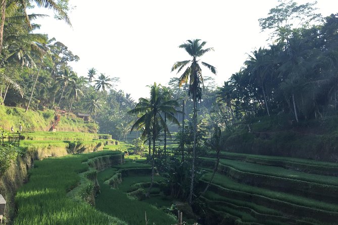 Best of Ubud Waterfalls, Tegalalang Rice Terrace and Swing Tour - Guides and photo help: why the right person matters