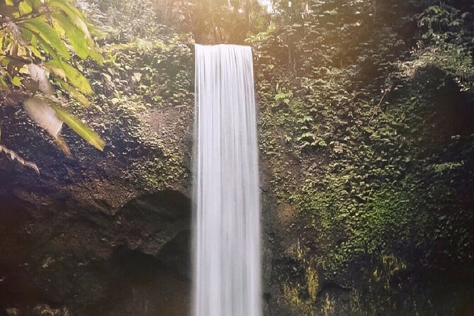 Best of Ubud Waterfalls, Tegalalang Rice Terrace & Jungle Swing - Tegalalang Rice Terrace: walking the paths, not just staring