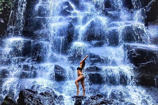 Best of Ubud Waterfalls, Tegalalang Rice Terrace & Jungle Swing - Who should book this tour