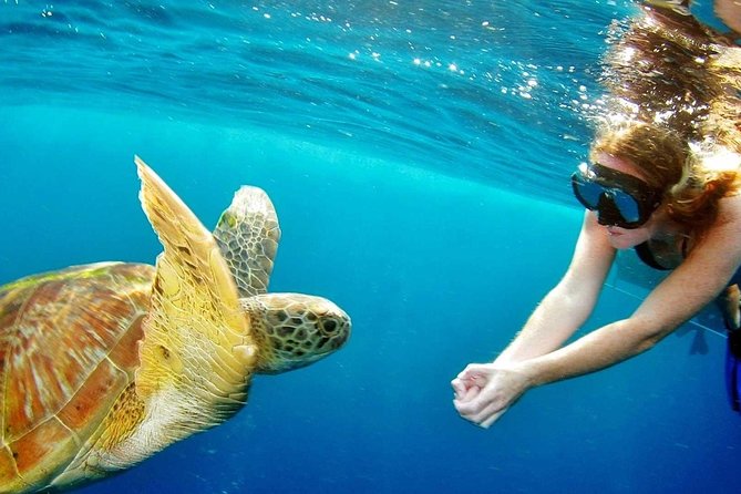 Best Snorkeling Trip at Blue Lagoon Bali - Snorkel Gear, A Guide’s Help, and Simple Safety Rhythm