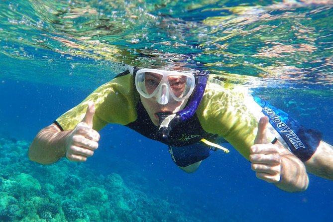 Best Snorkeling Trip at Blue Lagoon Bali - Underwater Life You Can Expect, Without Overpromising