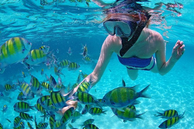 Best Snorkeling Trip at Blue Lagoon Bali - The Biggest Tradeoffs: Jellyfish, Trash, and Weather Reality