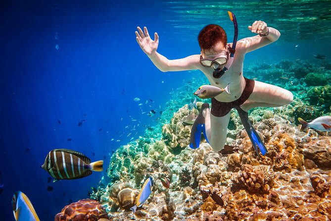Best Snorkeling Trip at Blue Lagoon Bali - Who Should Book This Snorkeling Day From Ubud