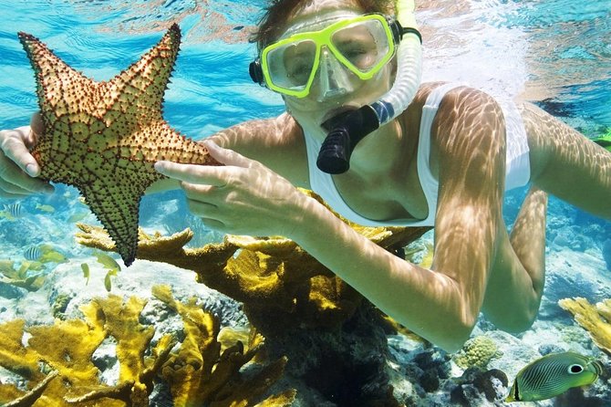 Best Snorkeling Trip at Blue Lagoon Bali - Blue Lagoon and Tanjung Jepun, Two Stops With Different Payoffs