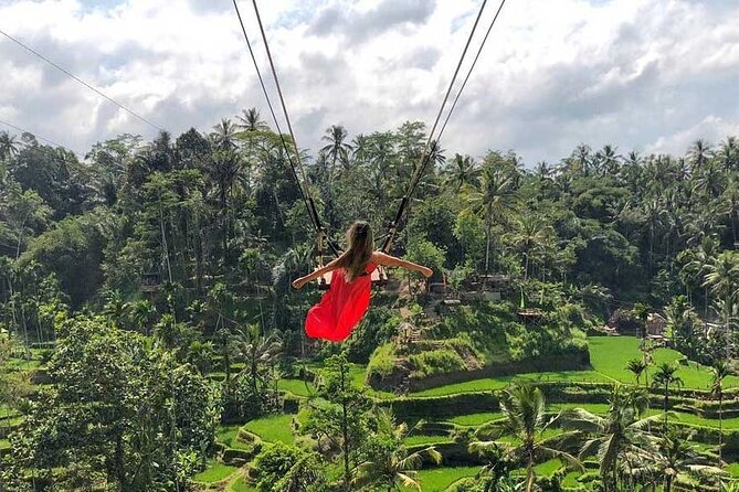 Best Ubud Tour Private Tour All Inclusive Package - Price A vs Price B vs Price C, What All Inclusive Really Covers