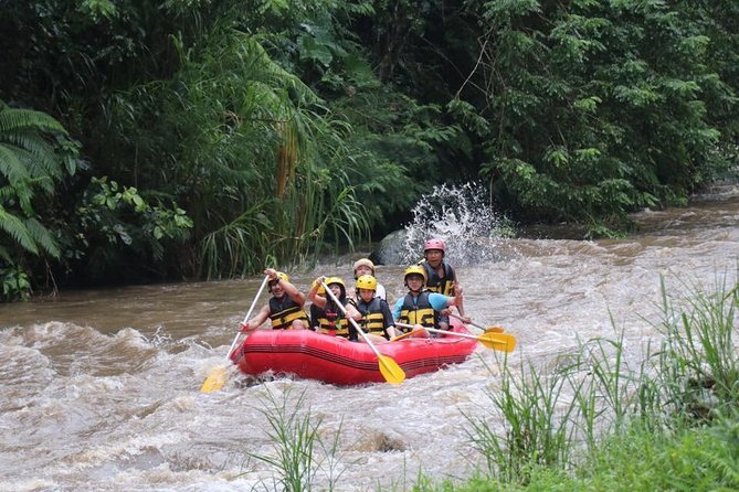 Best White Water Rafting in Bali - The Hidden Waterfall Moment: Why It’s More Than a Photo Stop