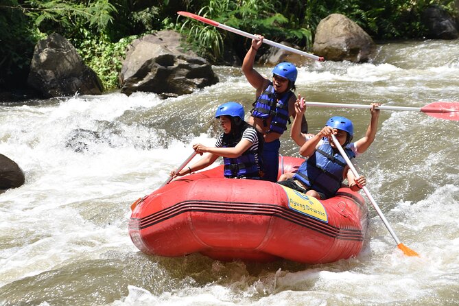Best White Water Rafting & Lunch, Ubud - The $27 Value Equation: What You Get and What You Don’t