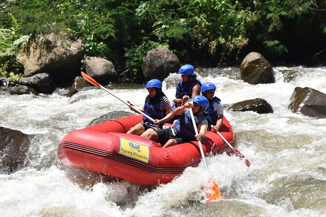 Best White Water Rafting & Lunch, Ubud - Group Size and the Vibe: Small Enough to Feel Human