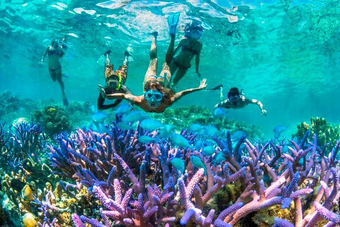 Bloo Lagoon Snorkeling East Bali Includes Transportation & Lunch - Kusamba black-sand beach: the contrast stop you will remember