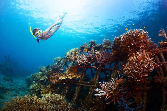 Bloo Lagoon Snorkeling East Bali Includes Transportation & Lunch - Door-to-door transfers: the comfort factor that earns its cost