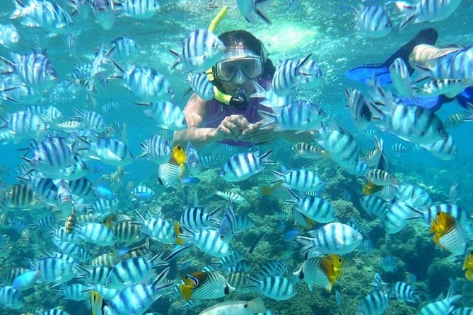 Bloo Lagoon Snorkeling East Bali Includes Transportation & Lunch - Who this snorkeling day is best for