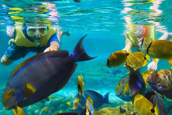 Bloo Lagoon Snorkeling East Bali Includes Transportation & Lunch - Price and value: what $82.50 really covers