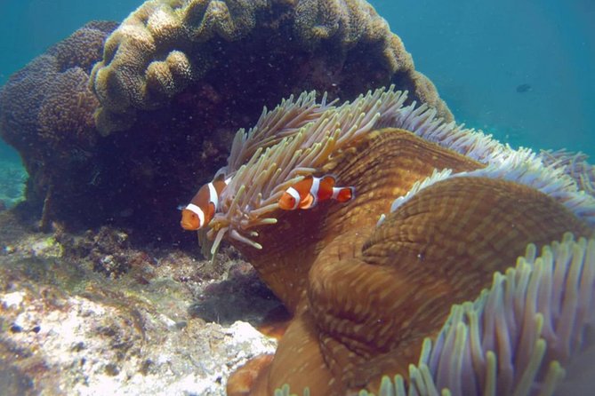 Blue Lagoon Bali Snorkeling Experience - Included Comforts That Actually Matter on a Long Day