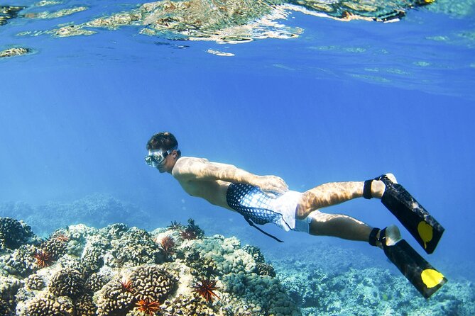 Blue Lagoon Snorkeling and Lunch - Ubud Monkey Forest - Waterfall - Starting your day in Padangbai with Blue Lagoon snorkeling