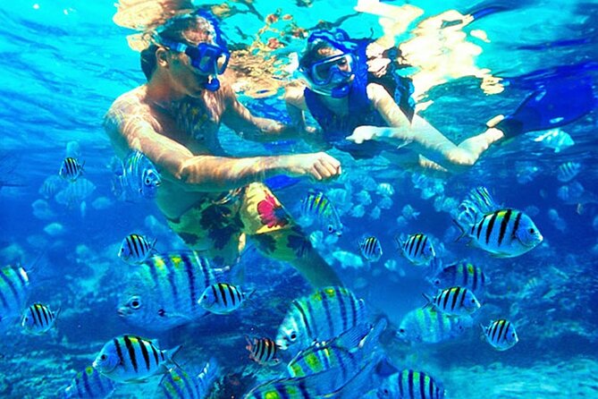 Blue Lagoon Snorkeling and Lunch - Ubud Monkey Forest - Waterfall - Ubud Monkey Forest as your finale: wildlife, shade, and rules