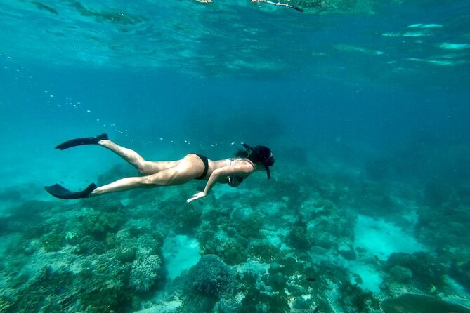 Blue Lagoon Snorkeling and Lunch - Ubud Monkey Forest - Waterfall - Who this tour suits best (and who should think twice)