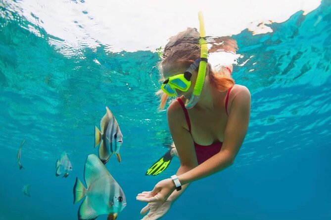 Blue Lagoon Snorkeling and Lunch with Private Transfer - Private transfer value: the day stays on schedule