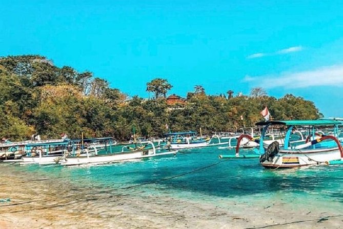 Blue Lagoon Snorkeling and Lunch with Visit Tegenungn Waterfall in Ubud - Should You Book This Tour?