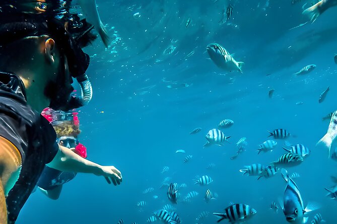 Blue Lagoon Snorkeling - Bali Best Snorkeling Site - Blue Lagoon near Padangbai: calm water and reef you can actually enjoy