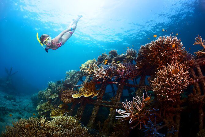 Blue Lagoon Snorkeling - Bali Best Snorkeling Site - Private snorkeling and instructor coaching that helps you stay relaxed