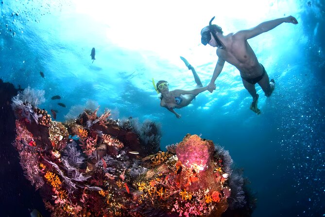 Blue Lagoon Snorkeling - Bali Best Snorkeling Site - Gear and facilities: included equipment plus a practical comfort plan