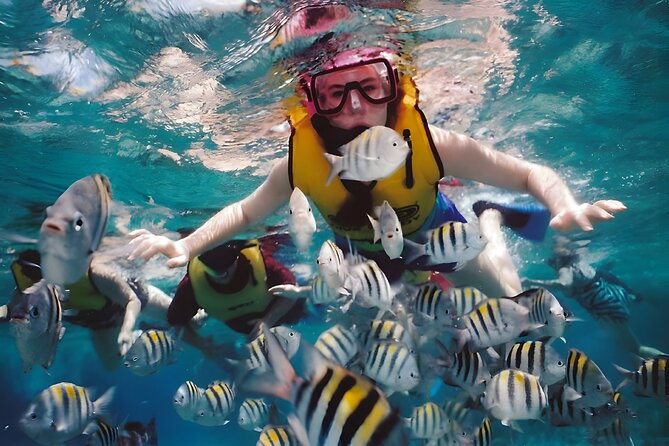 Blue Lagoon Snorkeling - Bali Best Snorkeling Site - Padangbai lunch after snorkeling: the reset you will appreciate