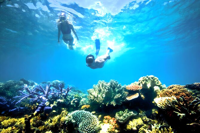 Blue Lagoon Snorkeling - Bali Best Snorkeling Site - Should you book Blue Lagoon Snorkeling with Bali Full Day Tour?