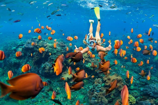 Blue Lagoon Snorkeling - Jungle Swing - Ubud - All Inclusive - Blue Lagoon snorkeling: 2 hours, 2 spots, and a guided setup