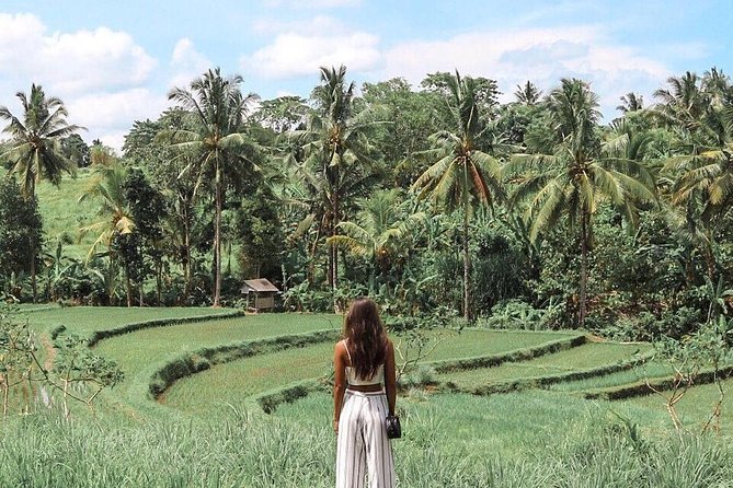 Blue Lagoon Snorkeling - Jungle Swing - Ubud - All Inclusive - Price and value: what $101 is covering