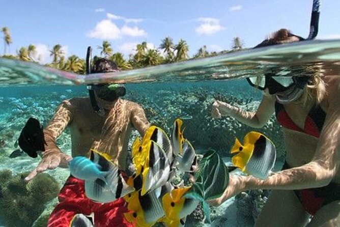Blue Lagoon Snorkeling - Lunch - Kantolampo - Tibumana Waterfall - Tips to get the most out of Blue Lagoon and the waterfalls