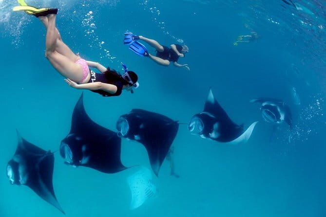 Blue Lagoon Snorkeling with Lunch and Private Transport - Entering Blue Lagoon: what you might spot near the coral