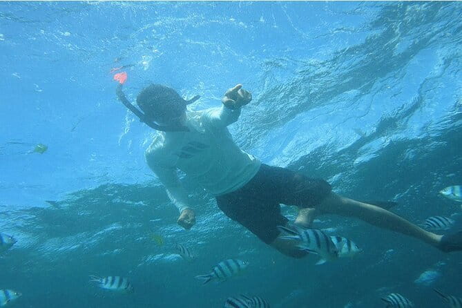 Blue Lagoon Snorkeling with Lunch and Private Transport - The 2-hour flow that keeps the day simple