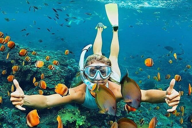 Blue Lagoon Snorkeling with Lunch and Waterfall in Ubud - Blue Lagoon Snorkeling at Ceningan, What to Expect Underwater