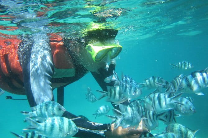 Blue Lagoon Snorkeling with Lunch and Waterfall in Ubud - Lunch, Showers, and the Comfort Side of Bali Adventure