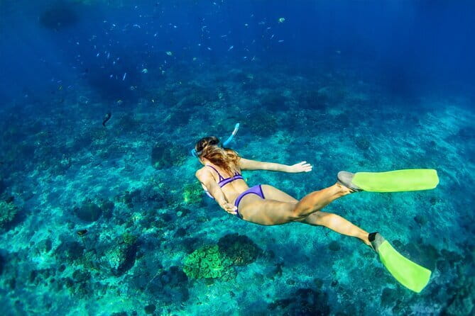 Blue Lagoon Snorkeling with Lunch and Waterfall in Ubud - Price and Value for a 10-Hour Private Day