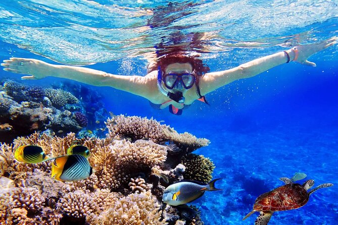 Blue Lagoon & Tanjung Jepun Snorkeling Private Tour - Quick reasons this Blue Lagoon and Tanjung Jepun plan works