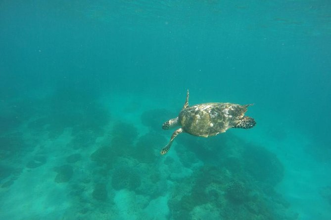 Blue Lagoon & Tanjung Jepun Snorkeling Private Tour - What’s included (and why that adds real value)