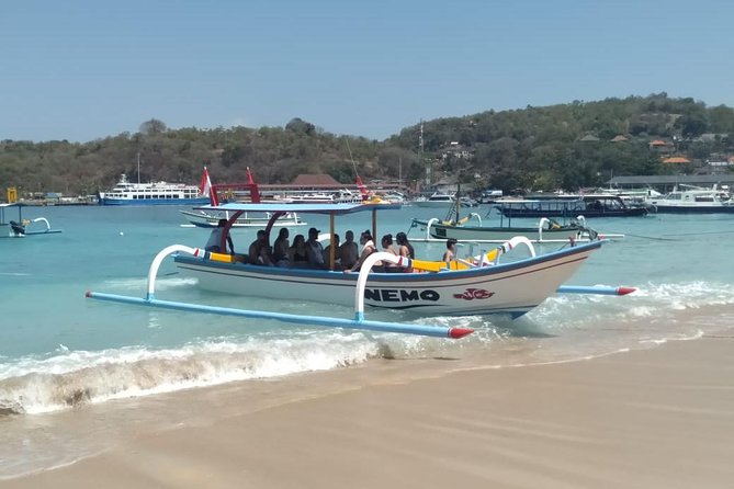 Blue Lagoon & Tanjung Jepun Snorkeling Private Tour - Price and booking rhythm: what $50 covers in a half-day plan