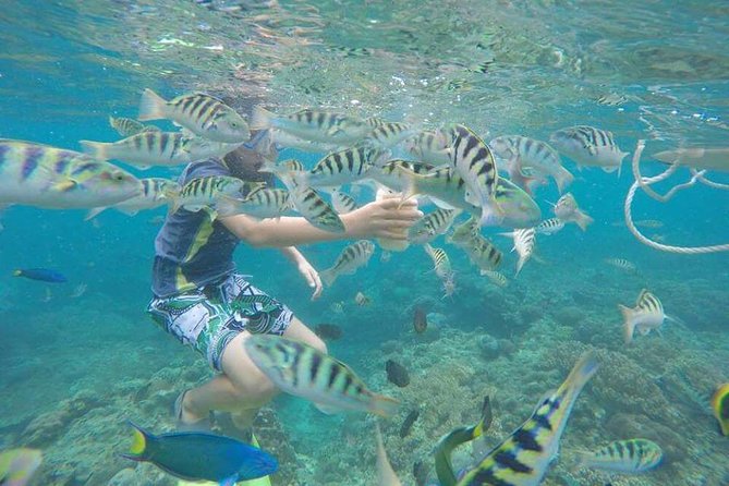Blue Lagoon & Tanjung Jepun Snorkeling Private Tour - Who this snorkeling private tour is best for