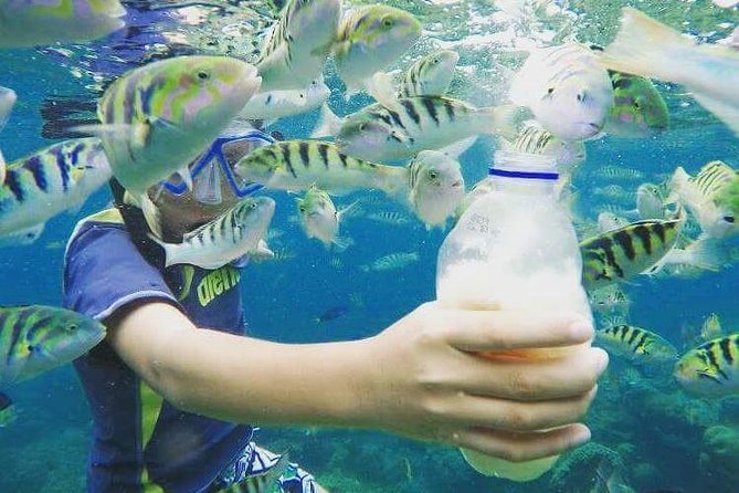 Blue Lagoon & Tanjung Jepun Snorkeling Private Tour - Weather reality in Bali: how to plan for a calm sea