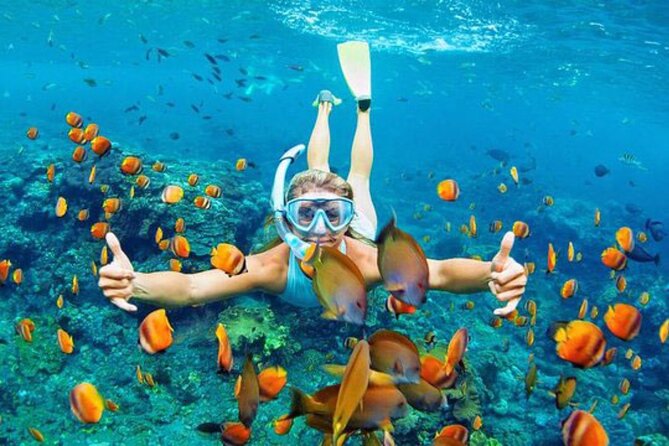 Blue Lagoon & Tanjung Jepun Snorkeling Private Tour - Tanjung Jepun snorkeling: more reef time, similar comfort