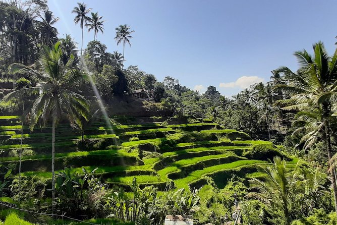 Candidasa Private Car with English Speaking Driver - Why this private car day trip fits Eastern Bali so well