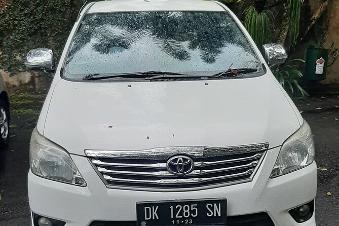 Candidasa Private Car with English Speaking Driver - Tegalalang Rice Terrace: iconic paddies and swing photo time
