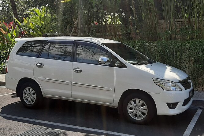 Candidasa Private Car with English Speaking Driver - Tirta Empul: the holy water spring temple moment