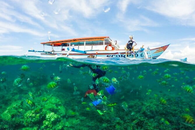 Car Hire in Lombok (Include Driver, Car, & Fuel) - Who this private Lombok driver day suits best